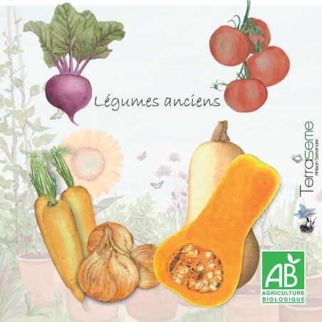 Semences Légumes anciens bio Terraseme
