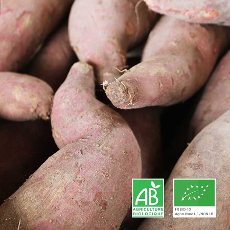Patates douces blanches bio