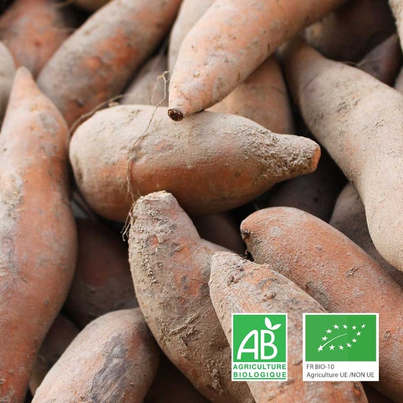 Patates douces peau orange bio