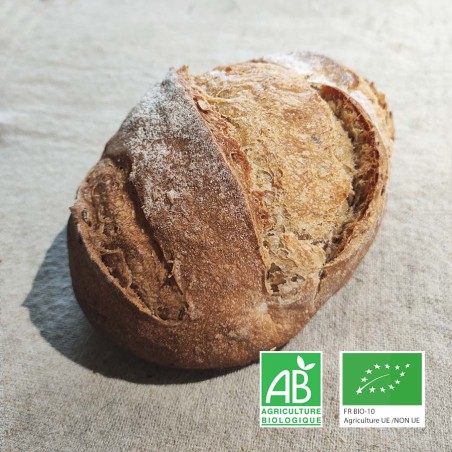 Pain complet aux graines au levain et bio
