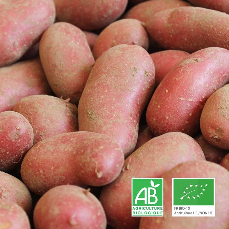 Pommes de terre bio Alouette