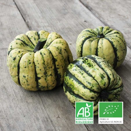 Patidou bio Le Biau Geai