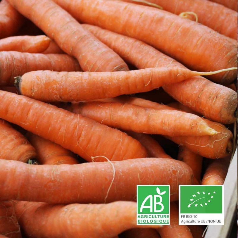 Carotte bio Le Biau Geai