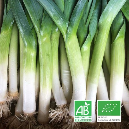 Poireaux bio Le Biau Geai
