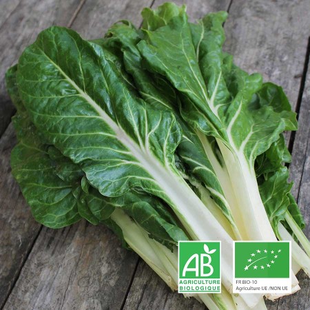 Blettes bio Le Biau Geai