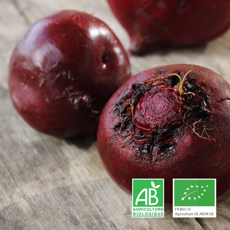 Betteraves rouges bio