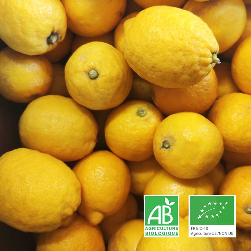 Citrons Primofiore bio