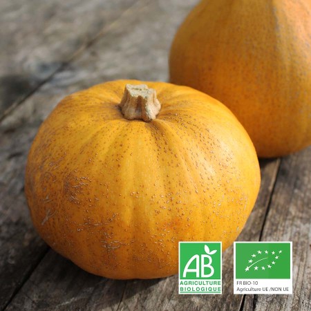 Jaspée de Vendée bio Le Biau Geai