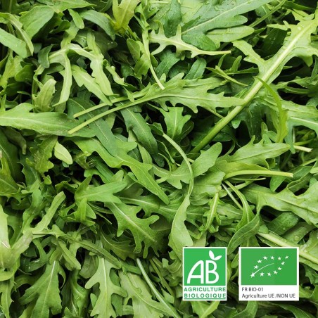 Roquette bio Le Biau Geai