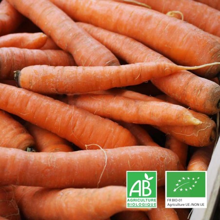 Carottes bio Champspaniers