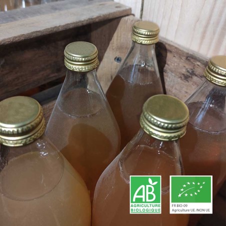 jus de pomme bio et artisanal