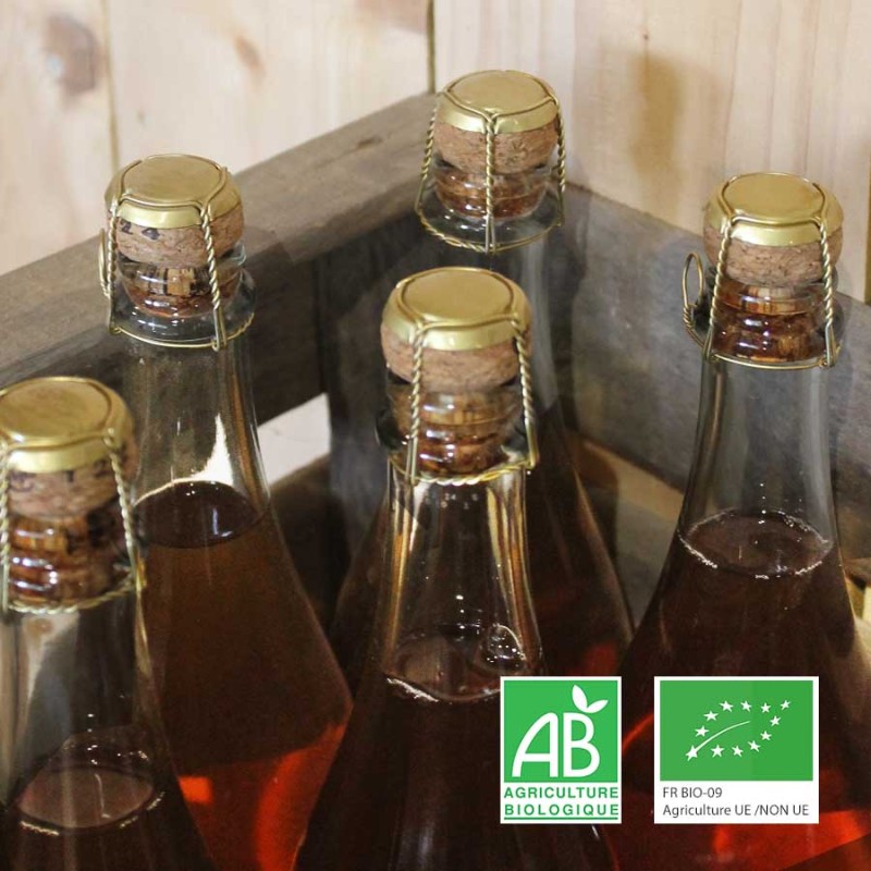 jus de pomme pétillant bio anjou