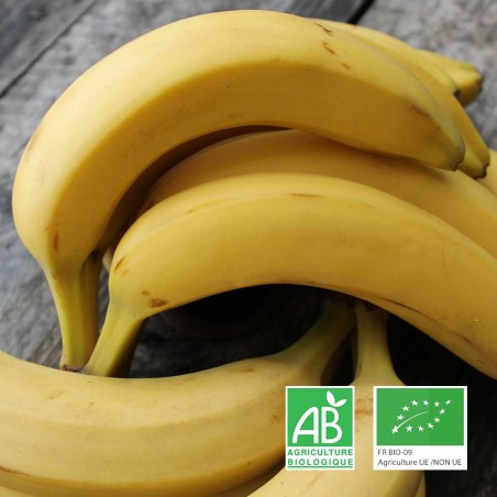 bananes bio livraison fruits en touraine