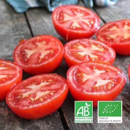 Tomates rondes rouges bio Champspaniers
