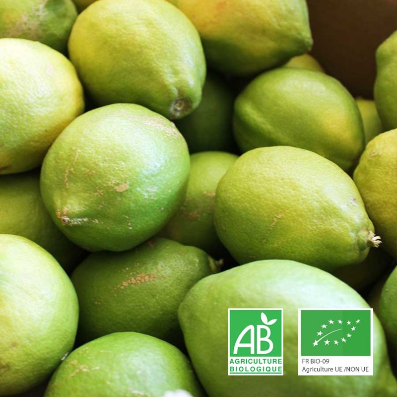 Citrons Verdelli bio
