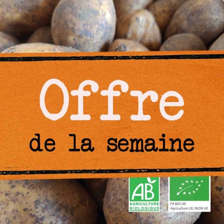 Pomme de terre Agria bio – Tendre et polyvalente | Tours
