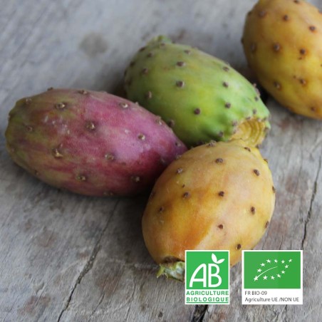 figues de barabarie bio