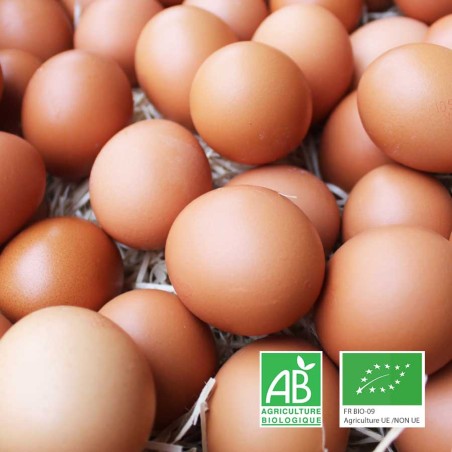 Oeufs bio plein-air Ferme des Durand