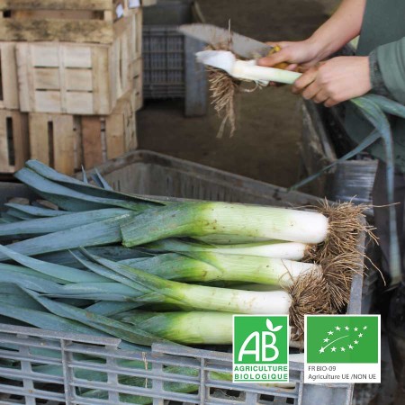 Poireaux agriculture biologique Anjou