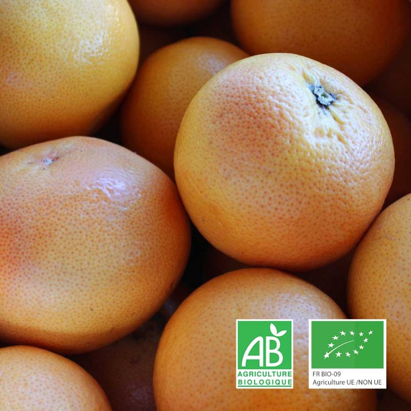 Pomelos rouges star ruby bio
