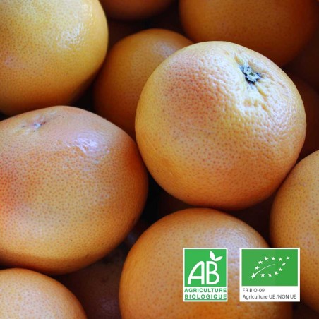 Pomelos rouges star ruby bio