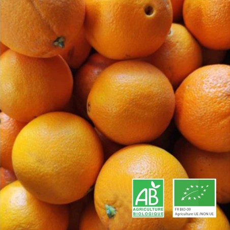 Oranges bio