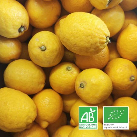 Citrons bio