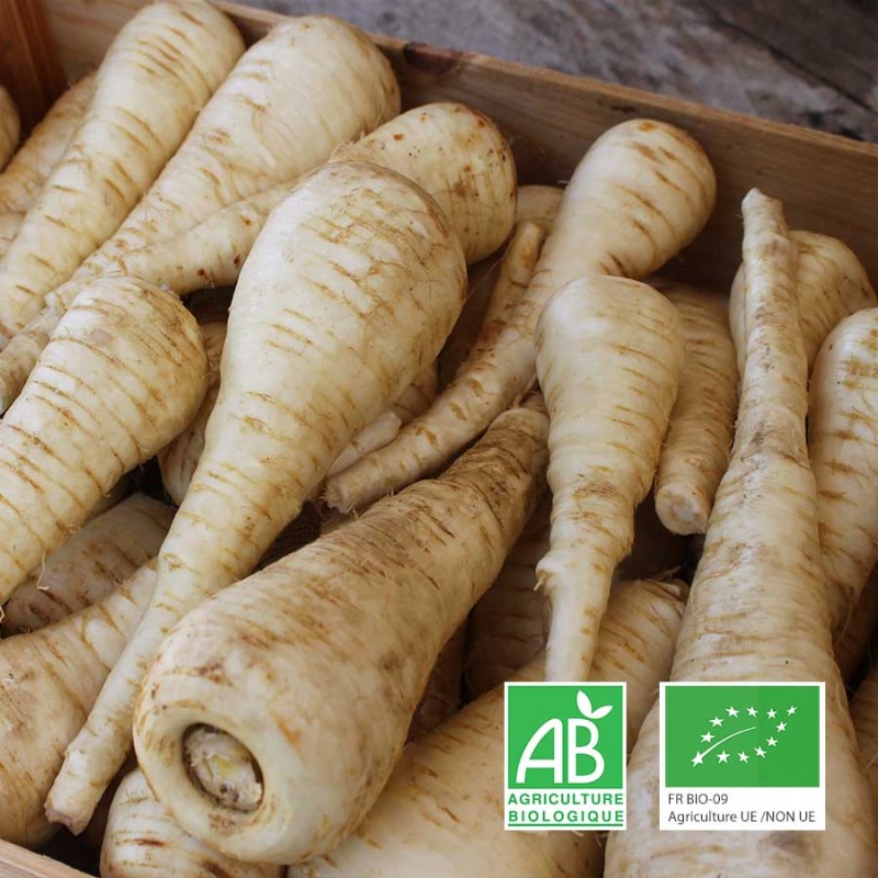 Panais bio angevin