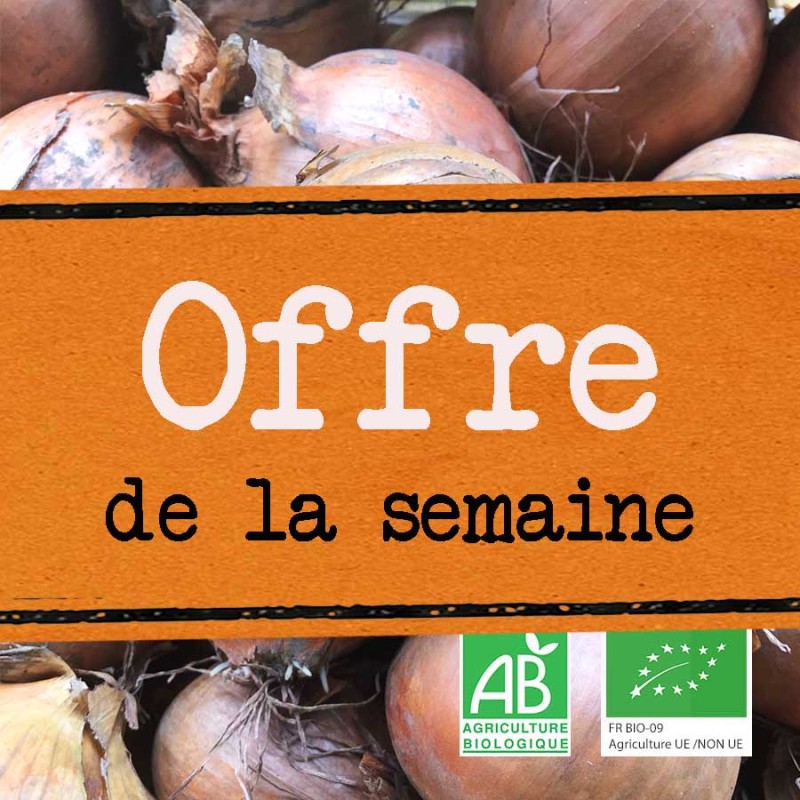Oignons jaunes bio | Saveur douce et parfumée | ChampsPaniers