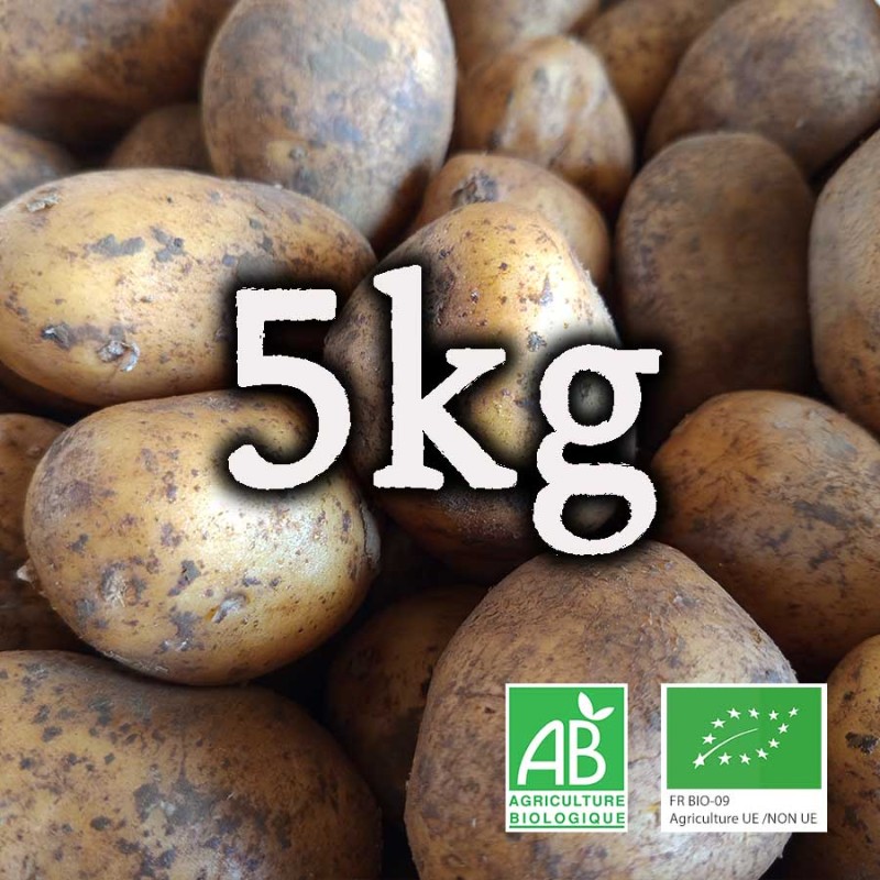 Pommes de terre bio Anjou Touraine
