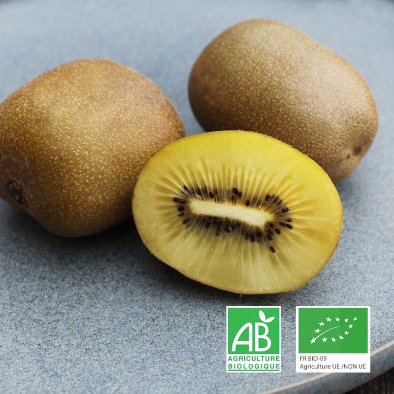 Kiwis gold bio Champspaniers
