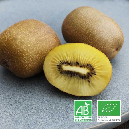 Kiwis gold bio Champspaniers