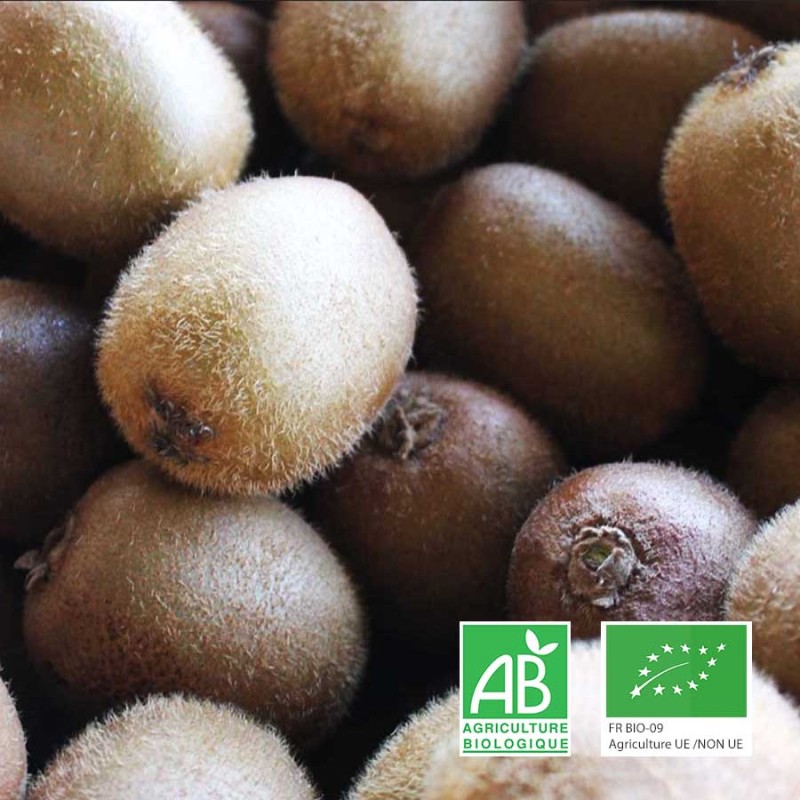 kiwis verts bio
