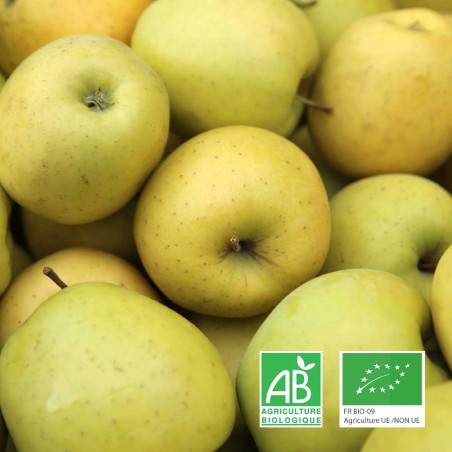 Pommes Belchard bio Anjou