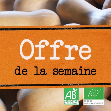 Courge Butternut bio | Douce et fondante, cultivée à Baugé-en-Anjou | ChampsPaniers