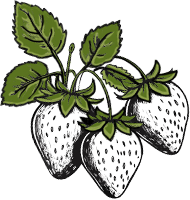 Fraises_1.png